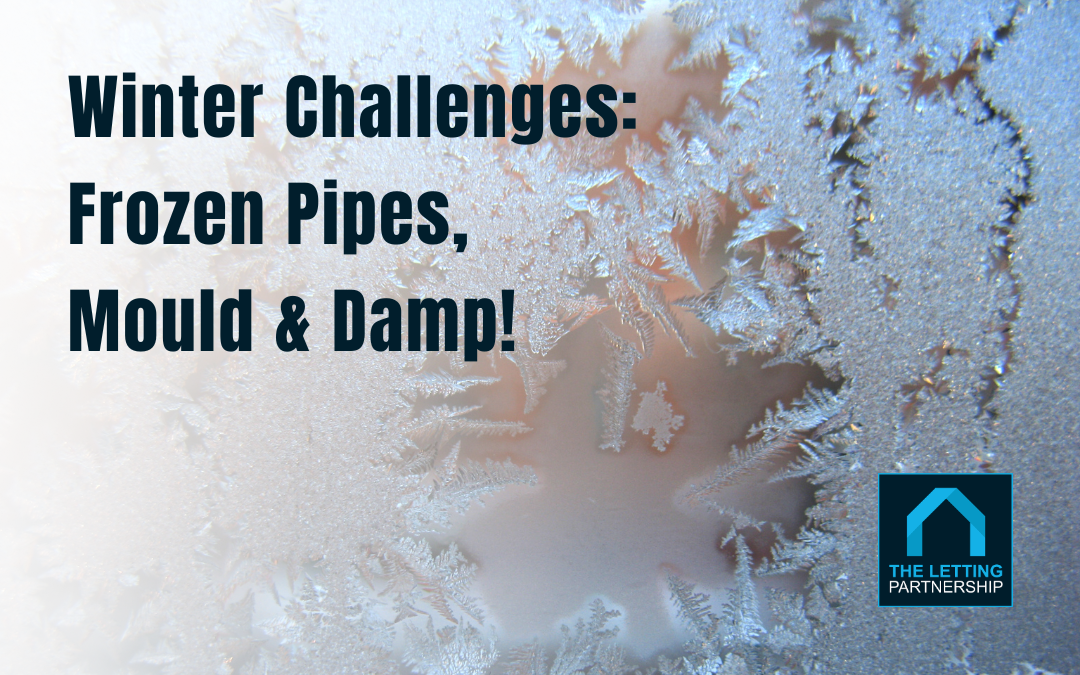Winter Property Care: Frozen Pipes, Mould and Damp&nbsp;